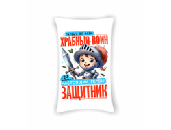 Подушка вертикальная #41 на 23 февраля