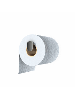 ванная KEUCO Plan бумагодержатель 1