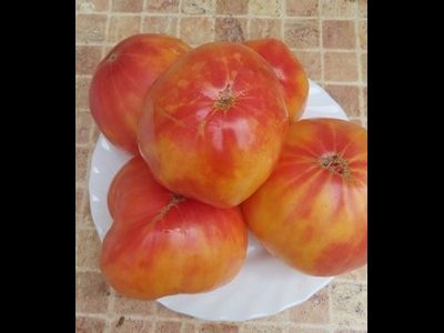 Томат Русалка (Mermaid) США