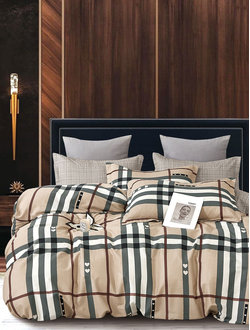 Постельное белье TANGO Twill сатин евро 200x220x1 230x250x1 50x70x2 70x70x2 TPIG6-2029