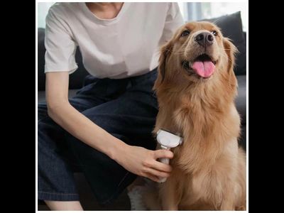 Расческа для животных Xiaomi Pawbby Type Anti-Hair Cutter Comb MG-PCO001-GL White