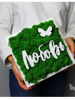 ЖИВАЯ ЭКО-КАРТИНА 1087