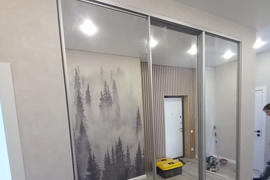 Шкаф купе зеркальный