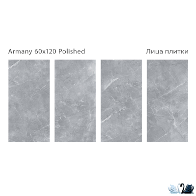 Керамогранит Staro Palacio Armany 60х120 см серый глянцевый
