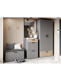 Набор мебели для прихожей Денвер 401 230