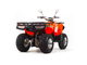 Квадроцикл MOTOLAND ATV 200 MAX фото