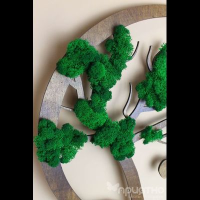 ЖИВАЯ ЭКО-КАРТИНА 1013