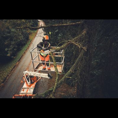 Аккумуляторная пила Stihl MSA 190 T