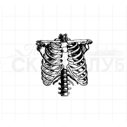 ФП штамп "Ребра" (а)