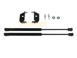 Амортизаторы капота, 2 шт. Pneumatic для Ravon Nexia R3 2015-