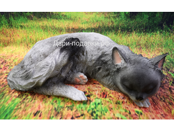 КОШКА британка спящая 12*36см   0,9 кг   полистоун Россия 1038//012480