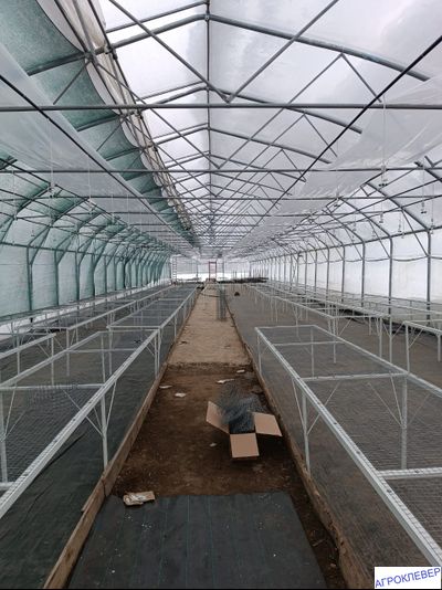 Система тумана низкого давления (480м2) 9,6 х 50м расход 5,2м3/ч (без ёмкости)