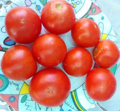 Томат Аленка