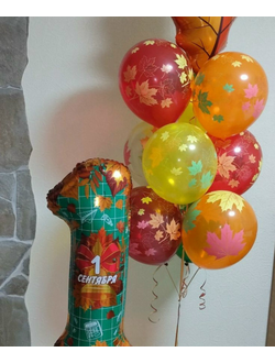 День знаний № 4