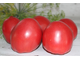 Uriasa De Baltatesti (Балтийские гиганты, Гигант из Балтатести)