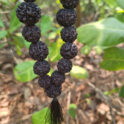 Четки из натуральной крупной Рудракши 108 бусин черные