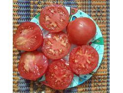 Томат Дендрера (Dendrera, Испания)