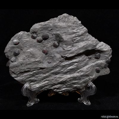 Гранат альмандин-пироповой серии с кристаллами дравита (разн. турмалина) в графитовом сланце. Red Embers mine. USA. 160*120*15мм. Редкость! (ААА)