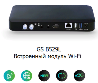Двухтюнерный приёмник 4К + IP-сервер (GS B529L)