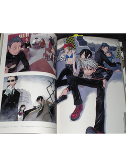 Оригинальный Арт Бук Shooting Star BeBop side: Durarara (Дюрарара!!)