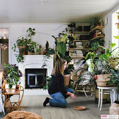 Ламинат Haro Tritty 100 Loft Дуб Эмилия Светло-серый 538717 32 класс толщина 8 мм с фаской 1.38 м2