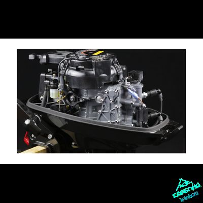 Лодочный мотор Suzuki DT9.9AS