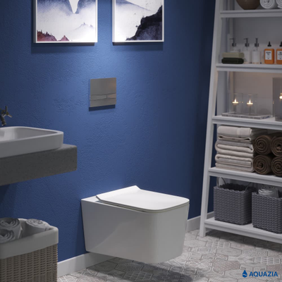 Кнопка AQUAZIA для инсталляции NOVUM F2 (Матовый хром)