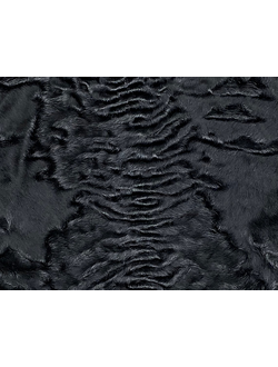 Каракульча Черная