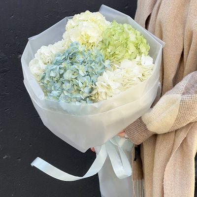 Моно из гортензий