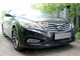 Защита радиатора Hyundai Grandeur V 2011- black