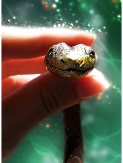 Красивый браслет в виде золотой змейки