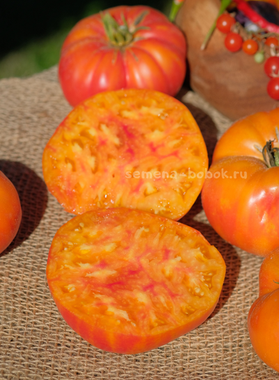 Томат Fred (Фред), 10 шт