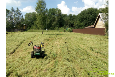 Покос выполнен косилкой для бурьяна Billi Goat