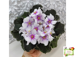 Dn-Love Time (Д. Денисенко) 2021 г.