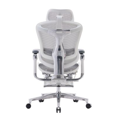 Ортопедическое кресло SIHOO Doro C500 | серо-белое