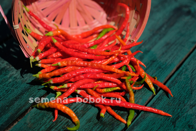 Перец сладкий Himo Togarashi (Химо Тогараши), 10 шт