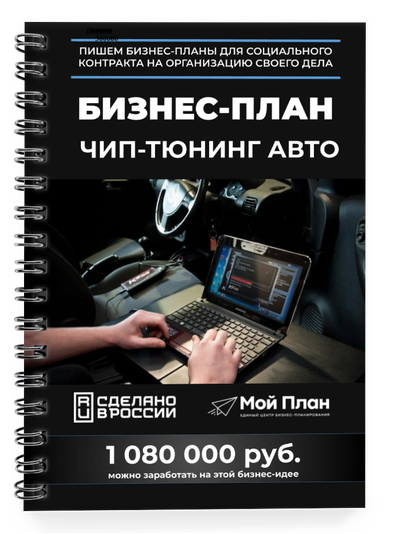 Бизнес-план для социального контракта в 2022 г. Ниша: чип-тюнинг автомобилей. Форма: Самозанятость.