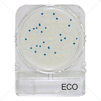 Подложки Compact Dry ECO (E.coli)