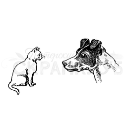 Кошки и собаки