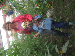 Дегустационная комиссия