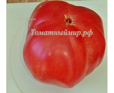 Томат Пандероза розовый Хендерсона (Henderson's Pink Ponderosa)