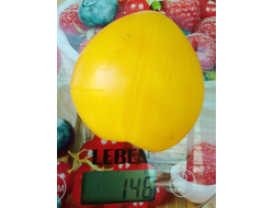 Томат гном Лимонный лед (Dwarf Lemon Ice, дварф Лемон айс) США