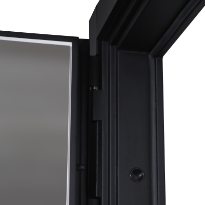 Стальная дверь   Silver с зеркалом. Заказная модель.