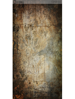 Фотофон на холсте «Брони»