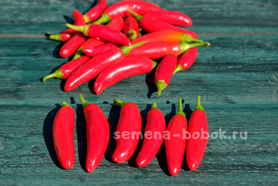 Острый перец CH-19, 10 шт