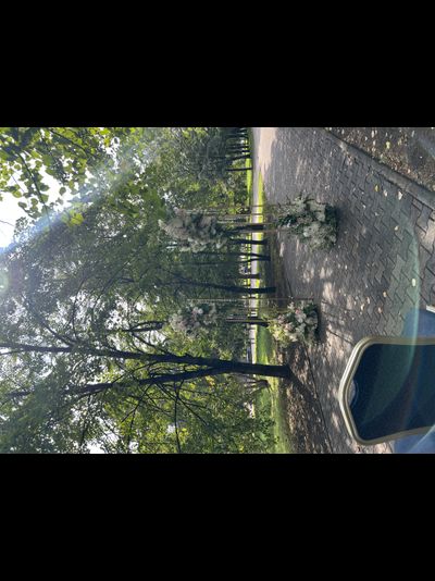 Арка для выездной церемонии "Столбики 1"