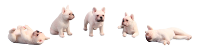 Французские бульдоги, набор из 5 фигурок (белые) - Коллекционная ФИГУРКА 1/12 scale Miniature French bulldog (JXK058B) - JXK