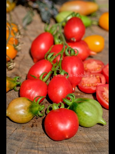 Томат Маленькое смущение Керстин (Kerstin`s piennolo), 10 шт