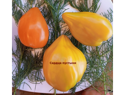 Томат Сердце пустыни