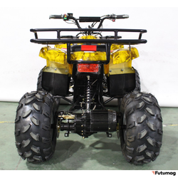 Квадроцикл GreenCamel Atakama T220 (48V 1000W R8 Дифференциал) пониженная